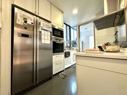 Cairnhill Crest (D9), Condominium #503020601